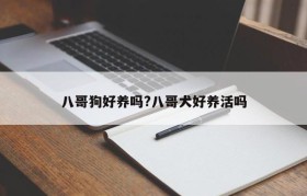 八哥狗好养吗?八哥犬好养活吗
